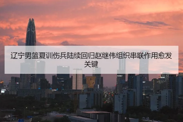 辽宁男篮夏训伤兵陆续回归赵继伟组织串联作用愈发关键